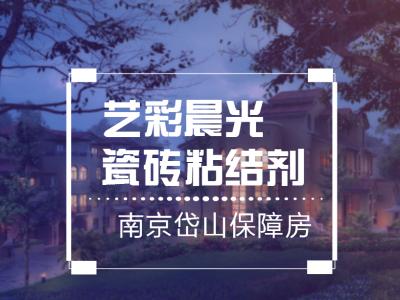 艺彩PA旗舰厅官网瓷砖粘结剂优秀案例：南京岱山保障房公共部位翻新